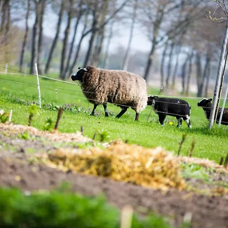 De Volkelse Hooiberg 4*