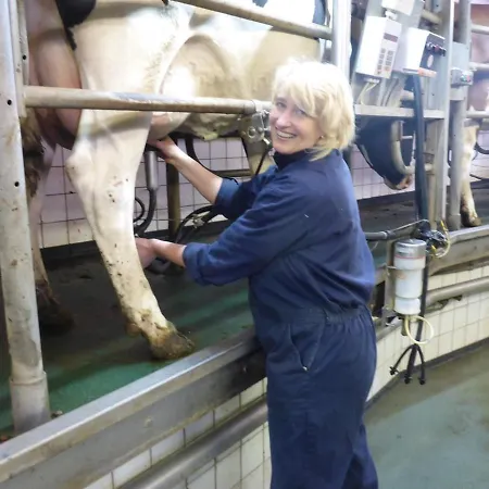 De Volkelse Hooiberg Oda ve Kahvaltı Volkel