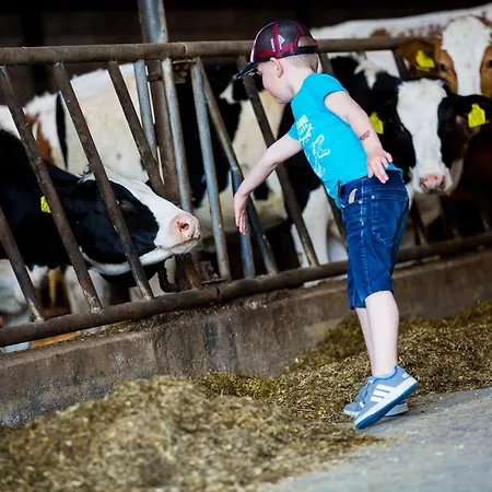 Bed & Breakfast De Volkelse Hooiberg 4*