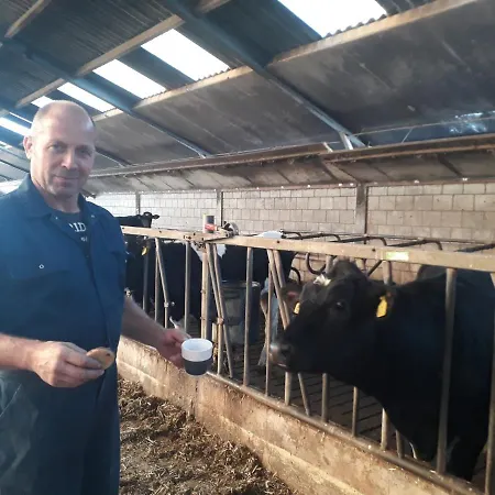 Bed & Breakfast De Volkelse Hooiberg Volkel