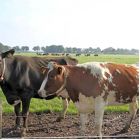 De Volkelse Hooiberg