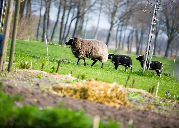 De Volkelse Hooiberg 4*