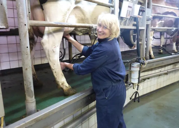 De Volkelse Hooiberg Bed & Breakfast Volkel