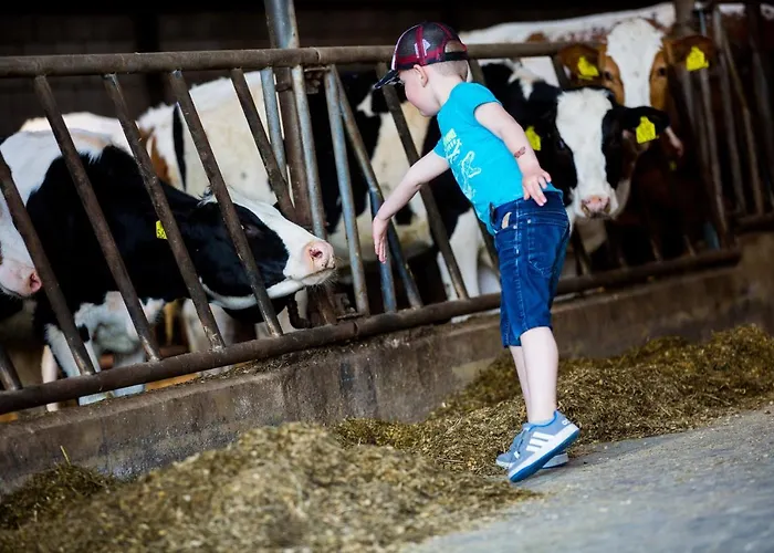 Bed & Breakfast De Volkelse Hooiberg 4*