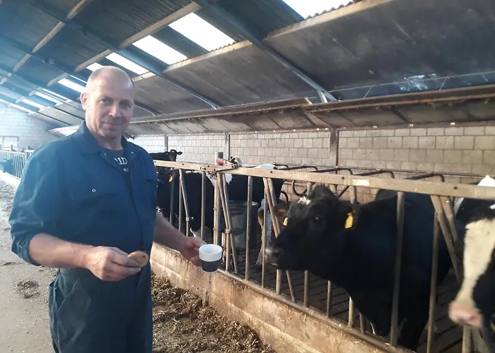 Panzió De Volkelse Hooiberg Volkel