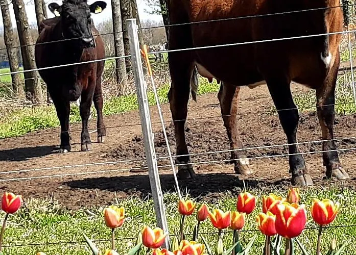 Bed & Breakfast De Volkelse Hooiberg Volkel