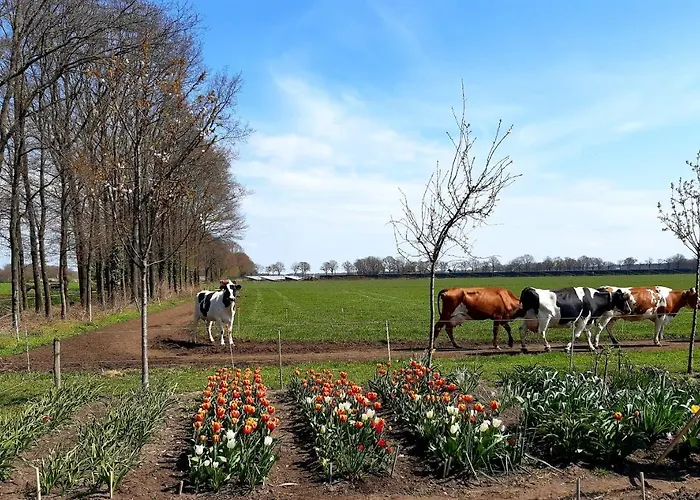 De Volkelse Hooiberg Bed and Breakfast
