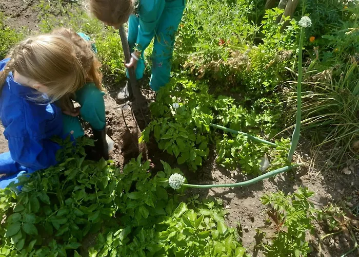 De Volkelse Hooiberg 4*