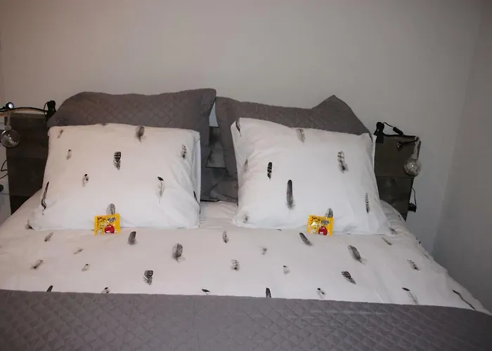 De Volkelse Hooiberg 4*