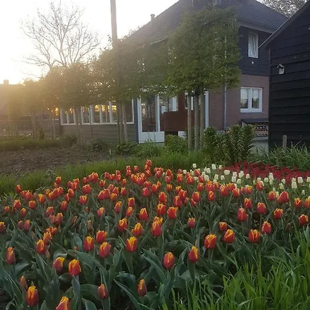 De Volkelse Hooiberg Bed & Breakfast Volkel