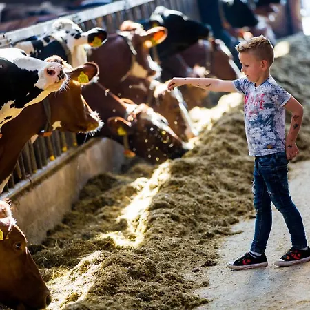 De Volkelse Hooiberg Отель типа 