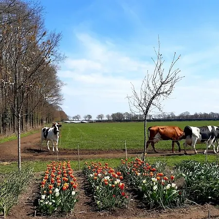 De Volkelse Hooiberg Bed & Breakfast