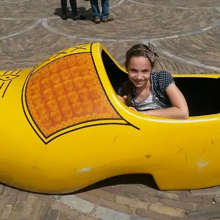 Bed & Breakfast De Volkelse Hooiberg