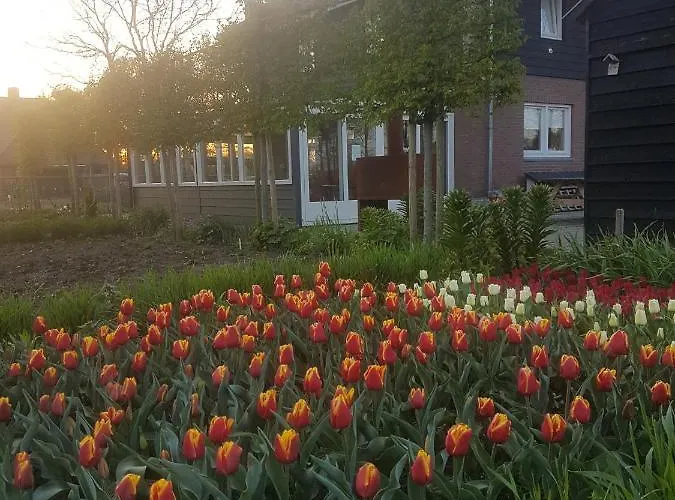 De Volkelse Hooiberg Oda ve Kahvaltı Volkel