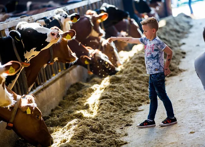 De Volkelse Hooiberg Отель типа 