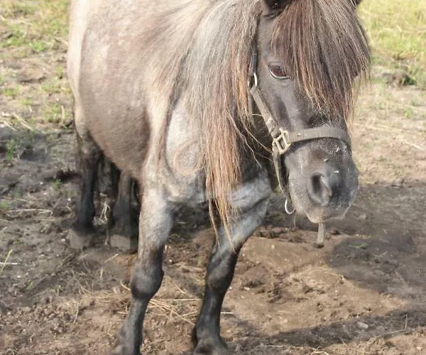 De Volkelse Hooiberg 4*